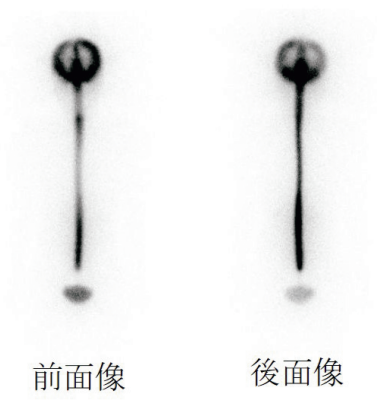 問題画像