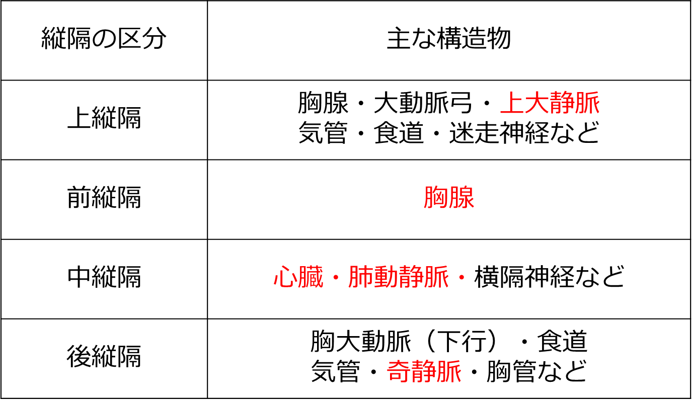 縦隔